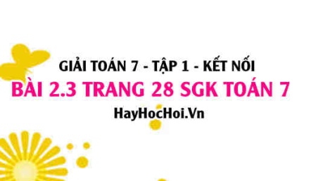 Giải bài 2.3 trang 28 Toán 7 Tập 1 SGK Kết nối tri thức